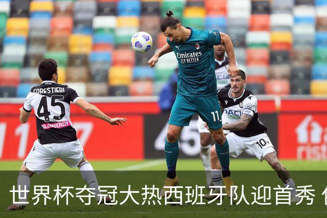 世界杯夺冠大热西班牙队迎首秀 伊朗队入境美国参赛